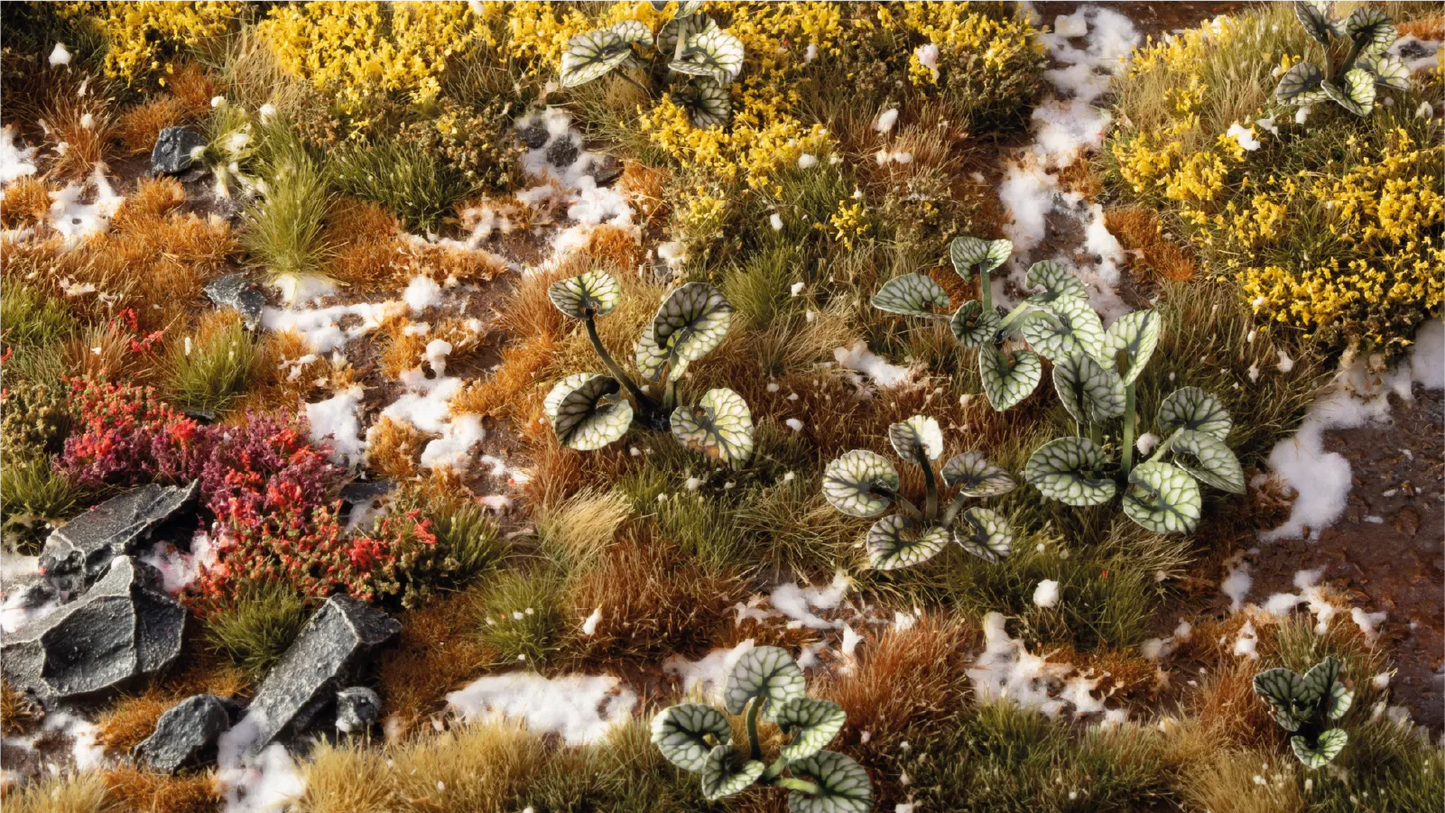 Gamers Grass: Bugloss