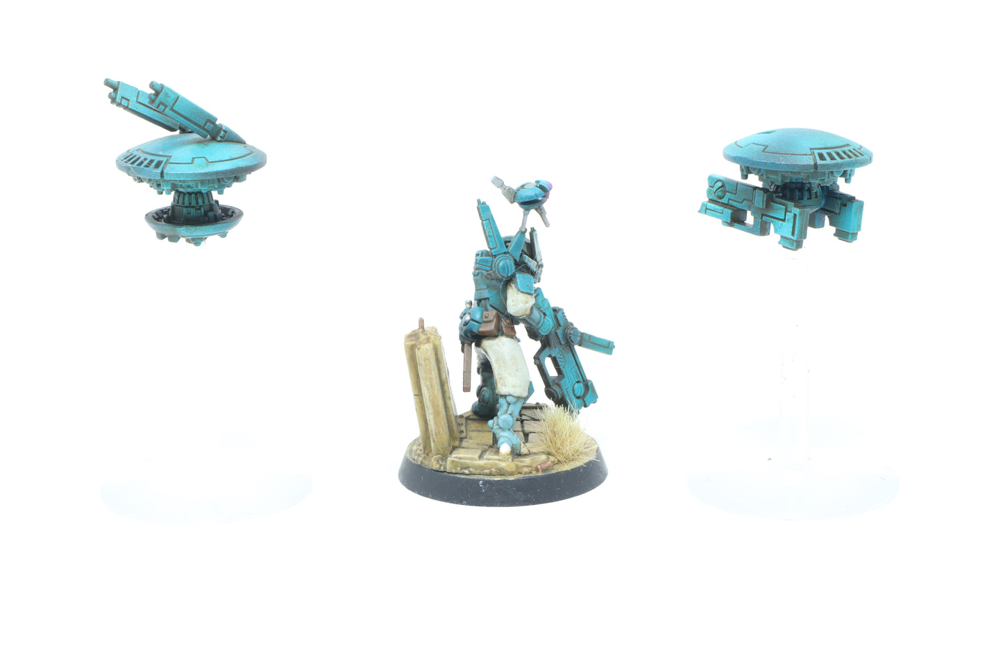 Darkstrider (Well Painted)