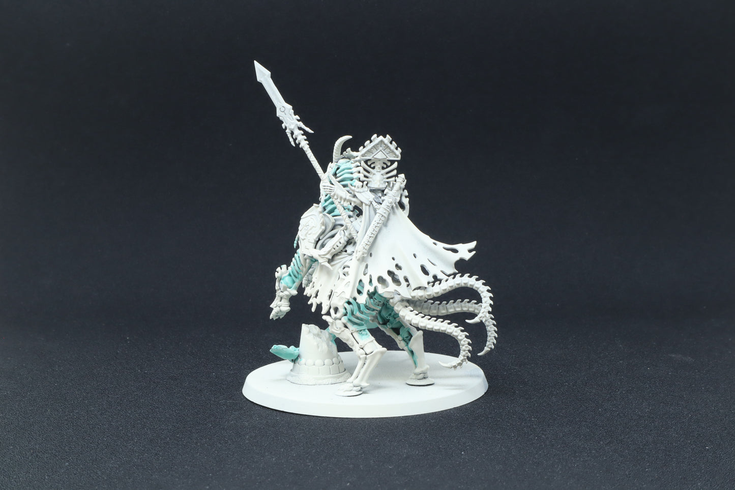 Arch-Kavalos Zandtos