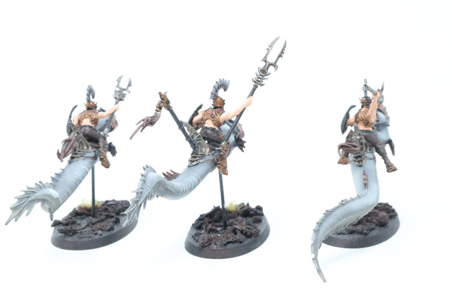 Akhelian Morrsarr Guard (Well Painted)