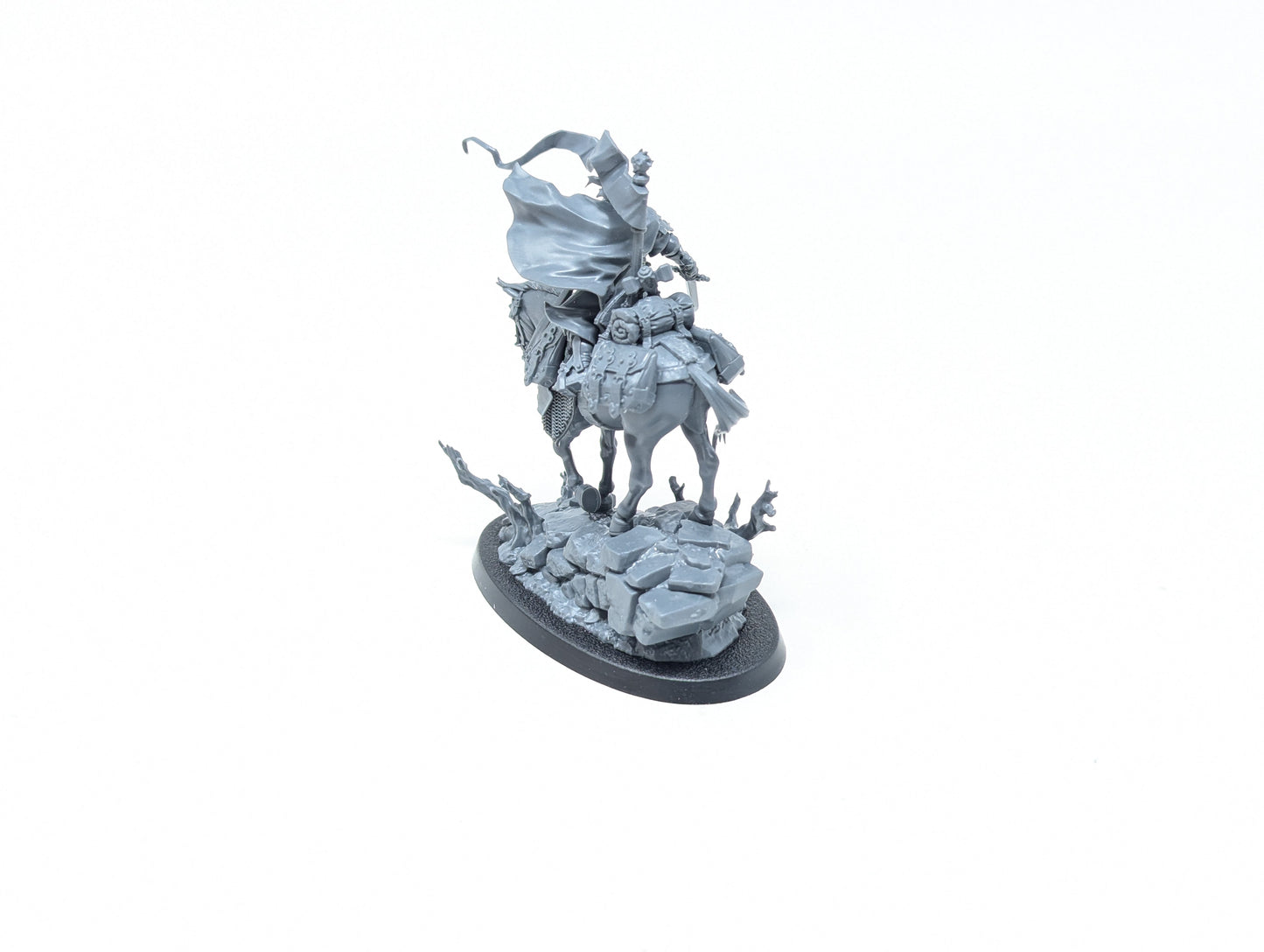 Freeguild Cavalier-Marshal