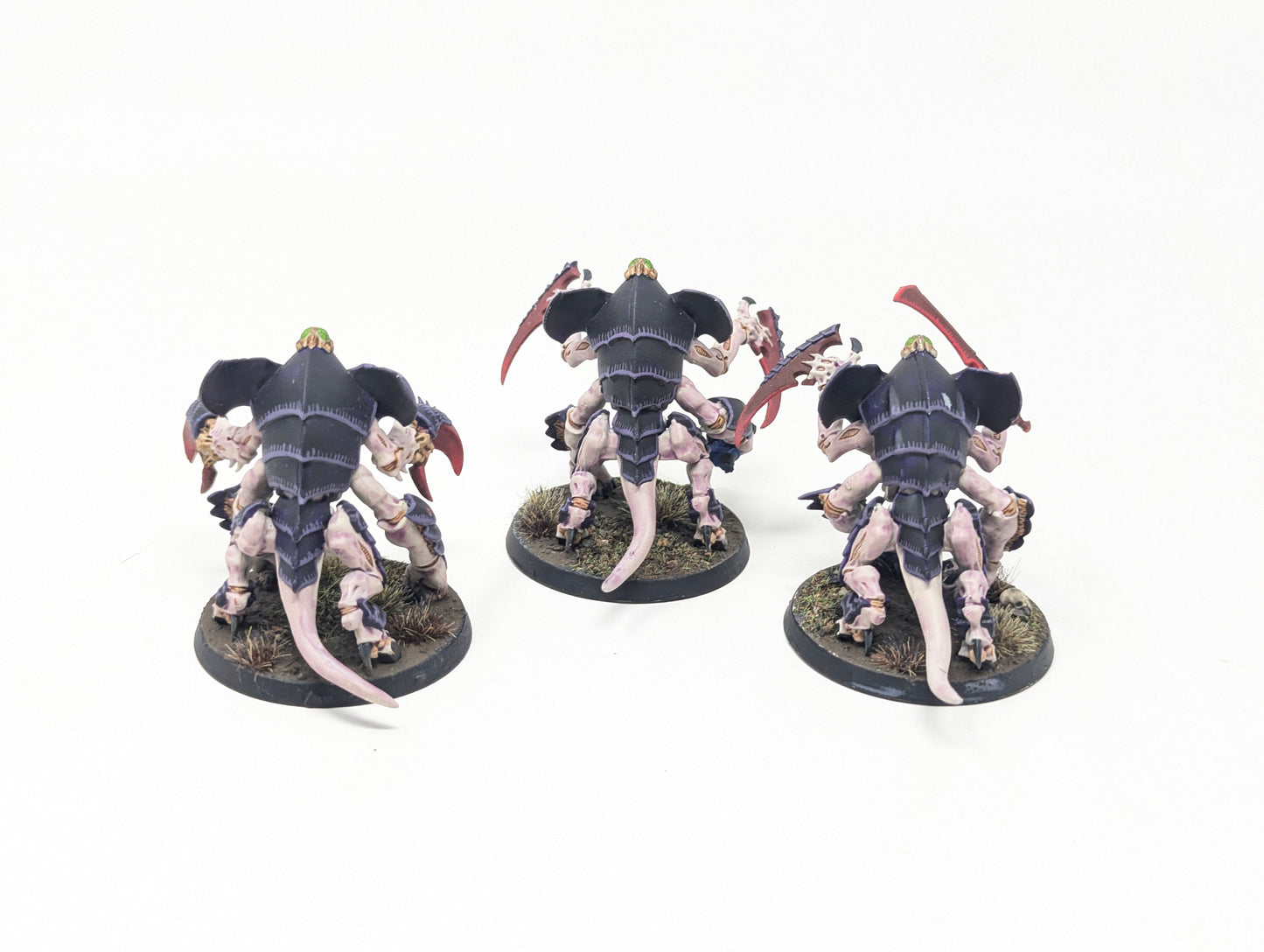 Tyrant Guard (Well Painted)