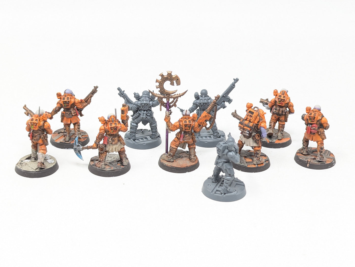 Neophyte Hybrids (Tabletop)