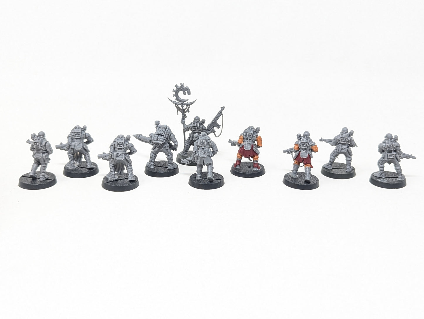 Neophyte Hybrids