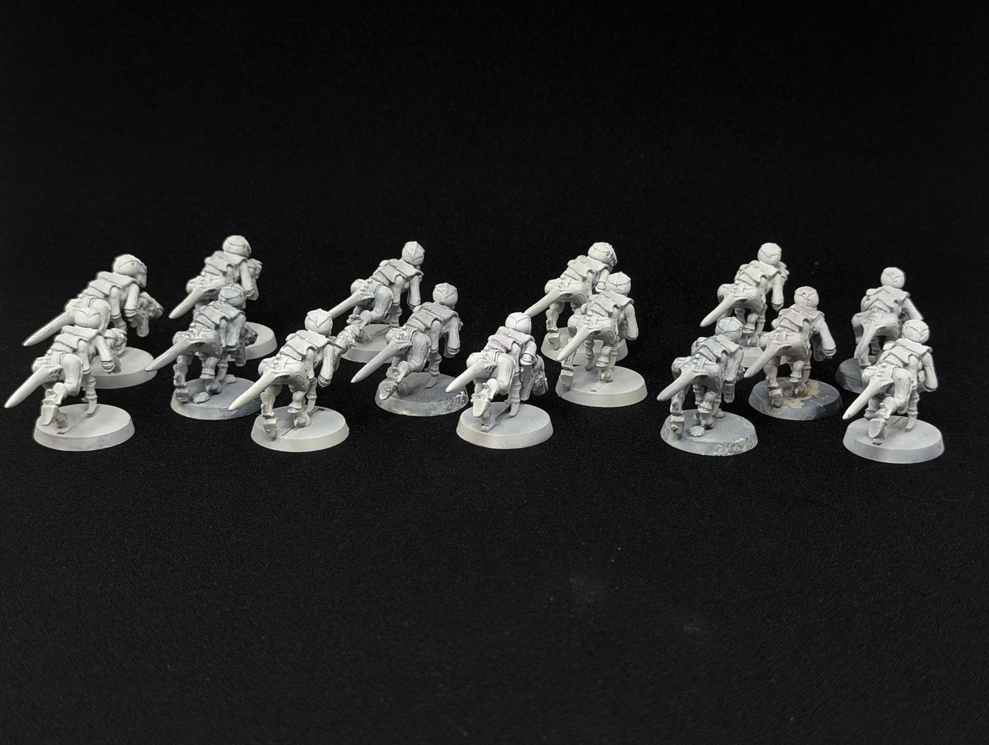 Termagants