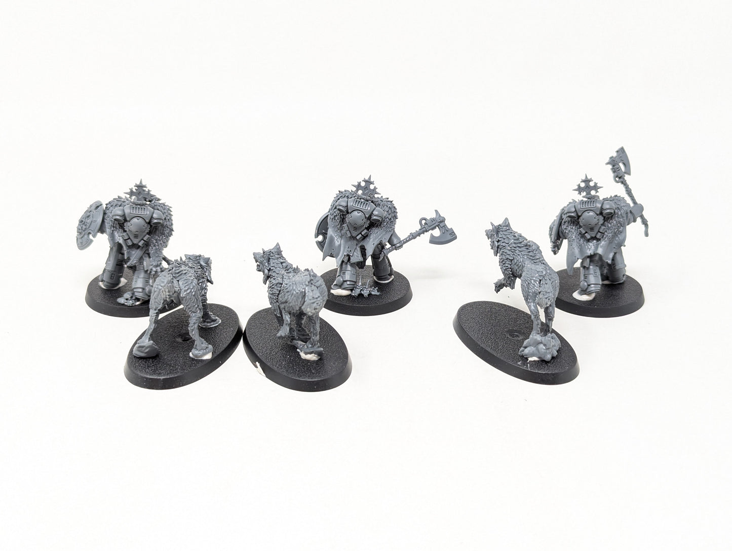 Wolf Guard Headtakers