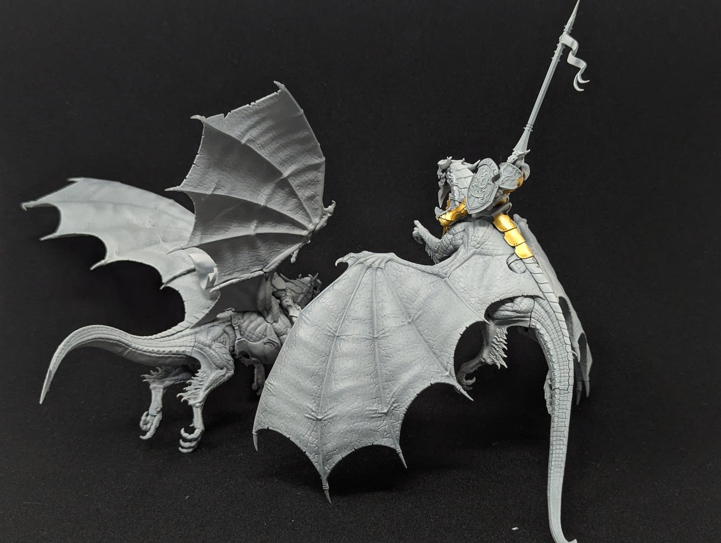 Stormdrake Guard