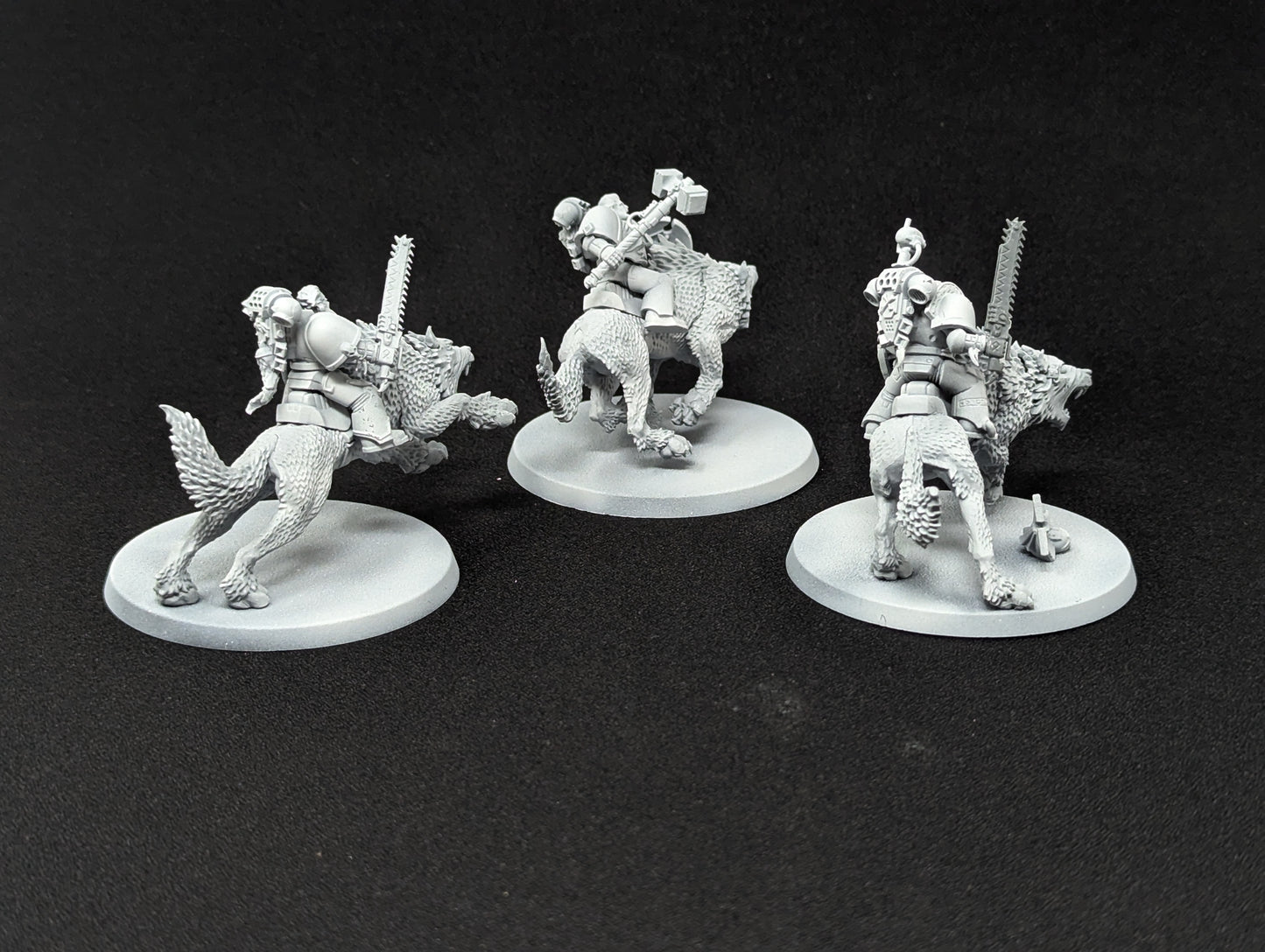 Thunderwolf Cavalry