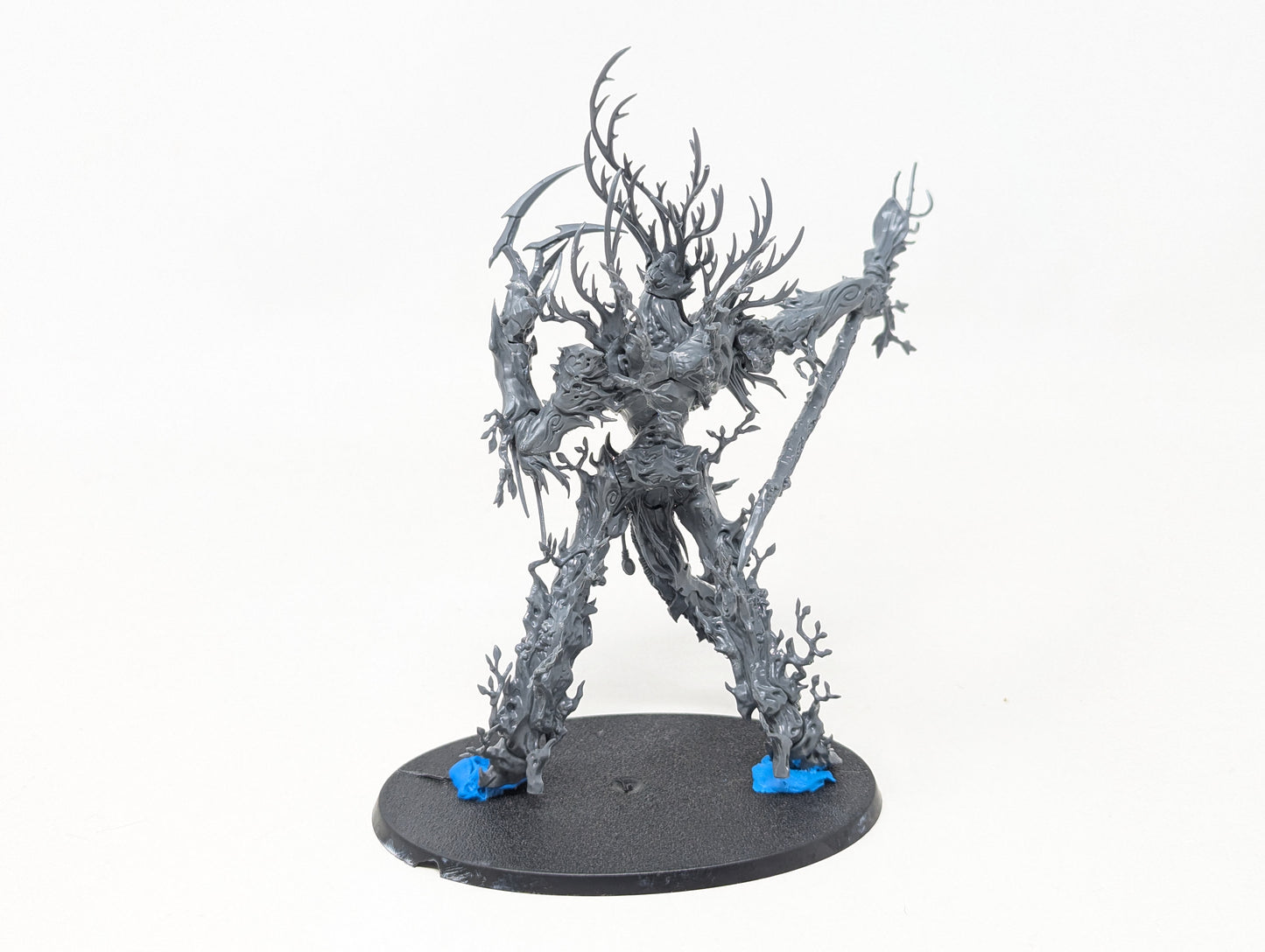Treelord Ancient