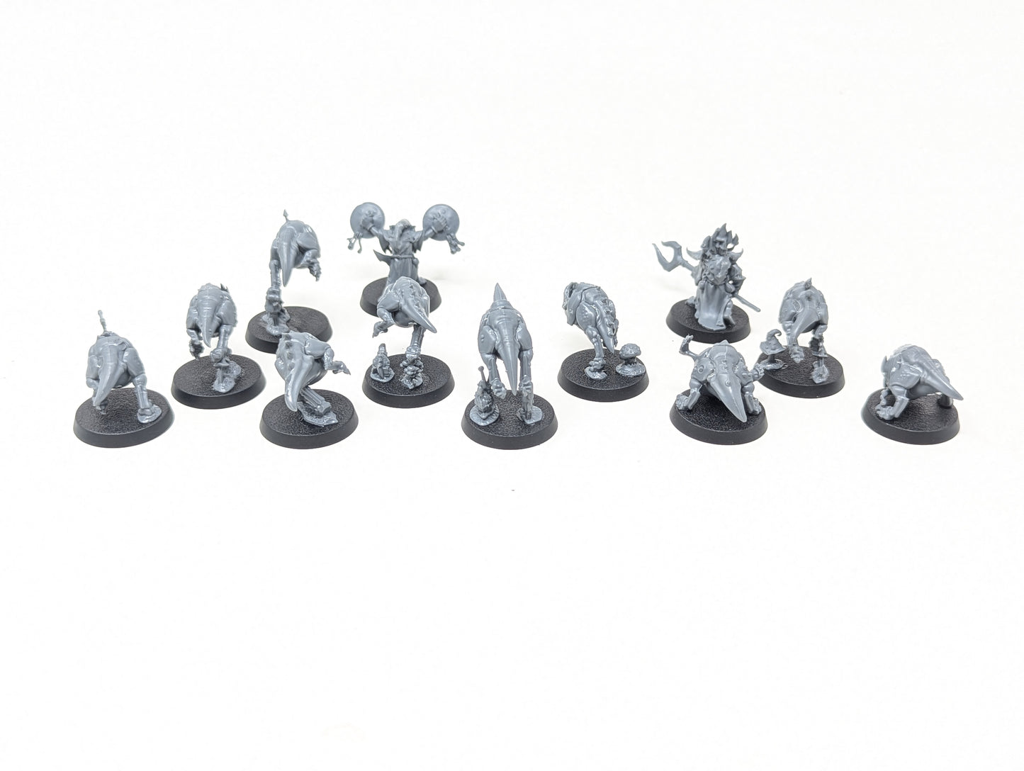 Squig Herd