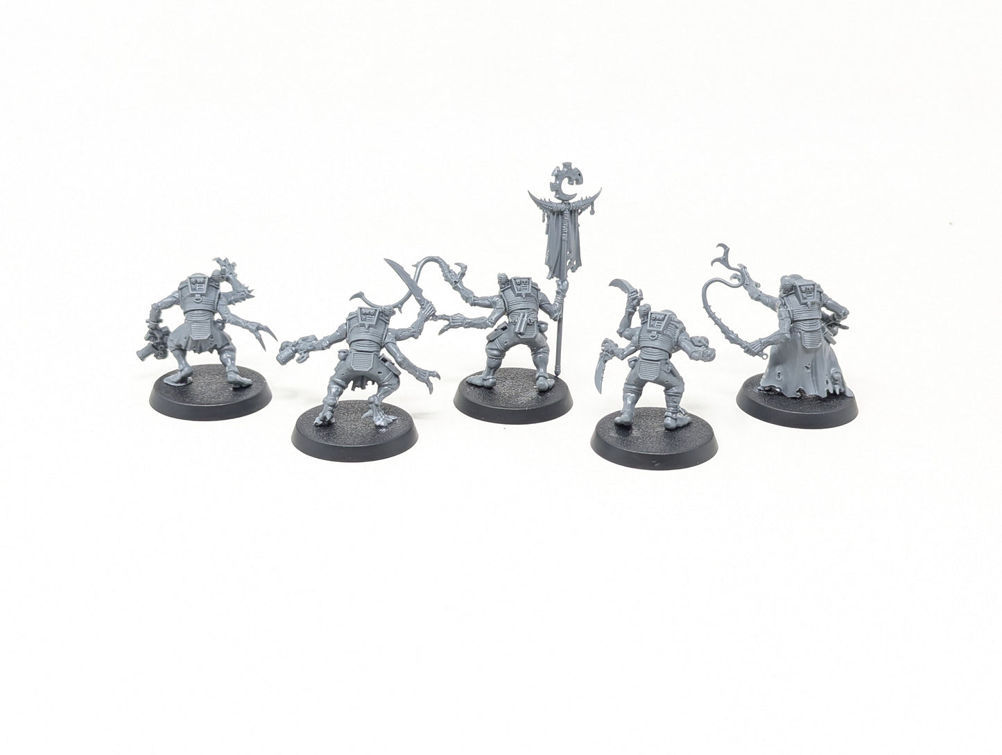 Acolyte Hybrids