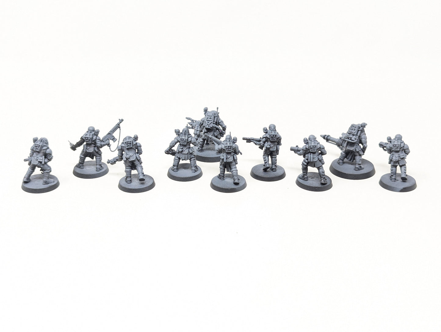 Neophyte Hybrids
