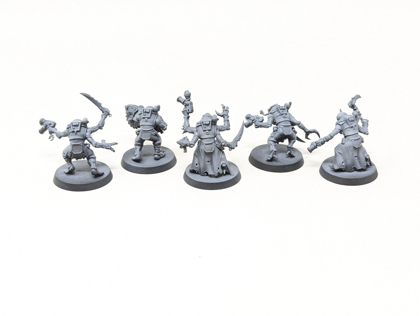 Acolyte Hybrids