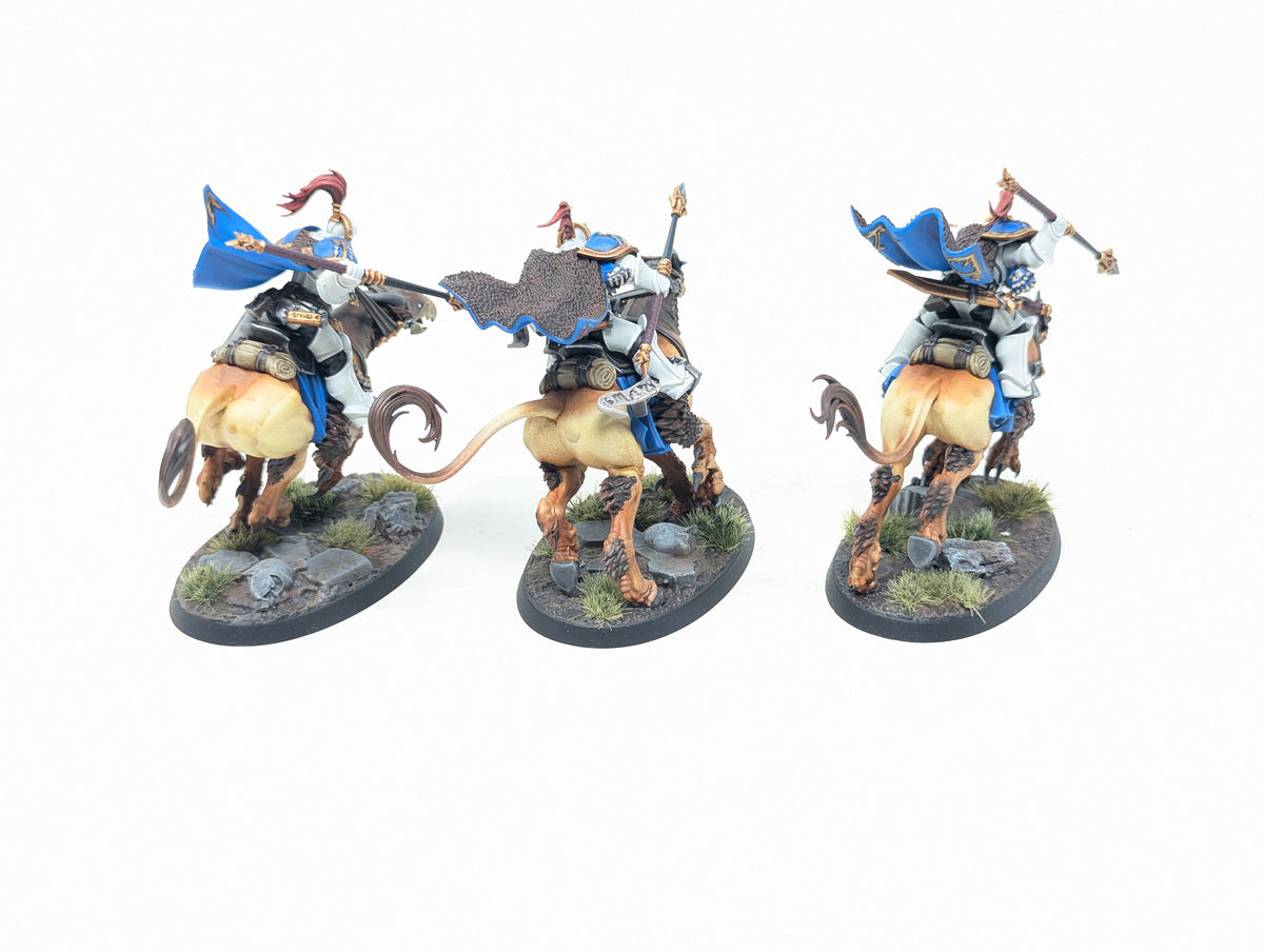Vanguard-Palladors (Well Painted)