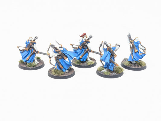 Vigilors (Well Painted)