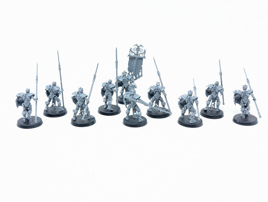 Mortek Guard
