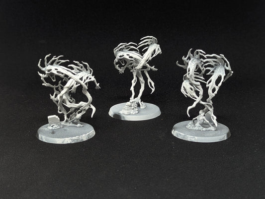 Spirit Hosts