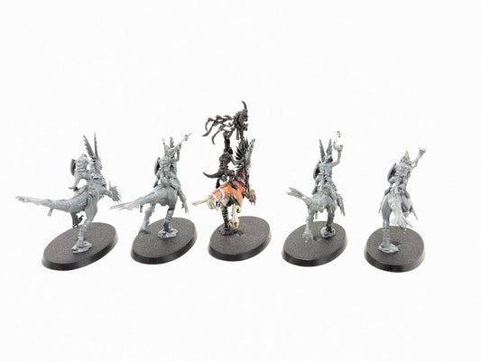 Raptadon Hunters