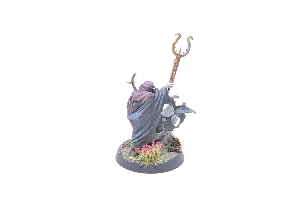 Necromancer (Conversion/Well Painted)