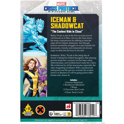 Iceman & Shadowcat Character Pack