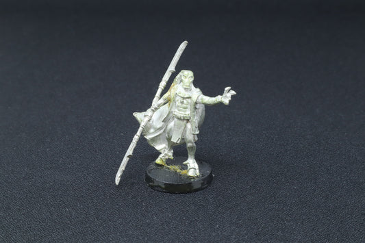 Aun Shi/Ethereal on foot (Old Model)