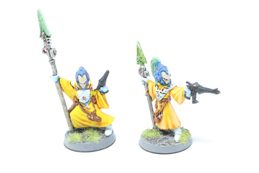 Warlocks (Well Painted)