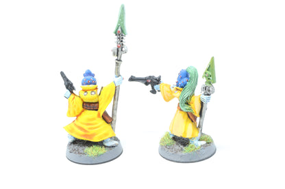 Warlocks (Well Painted)