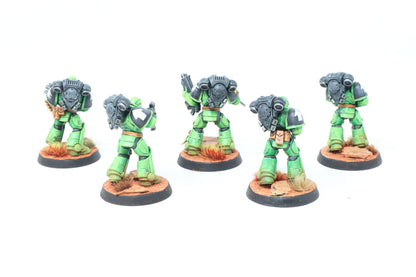 Assault Intercessors (Well Painted)