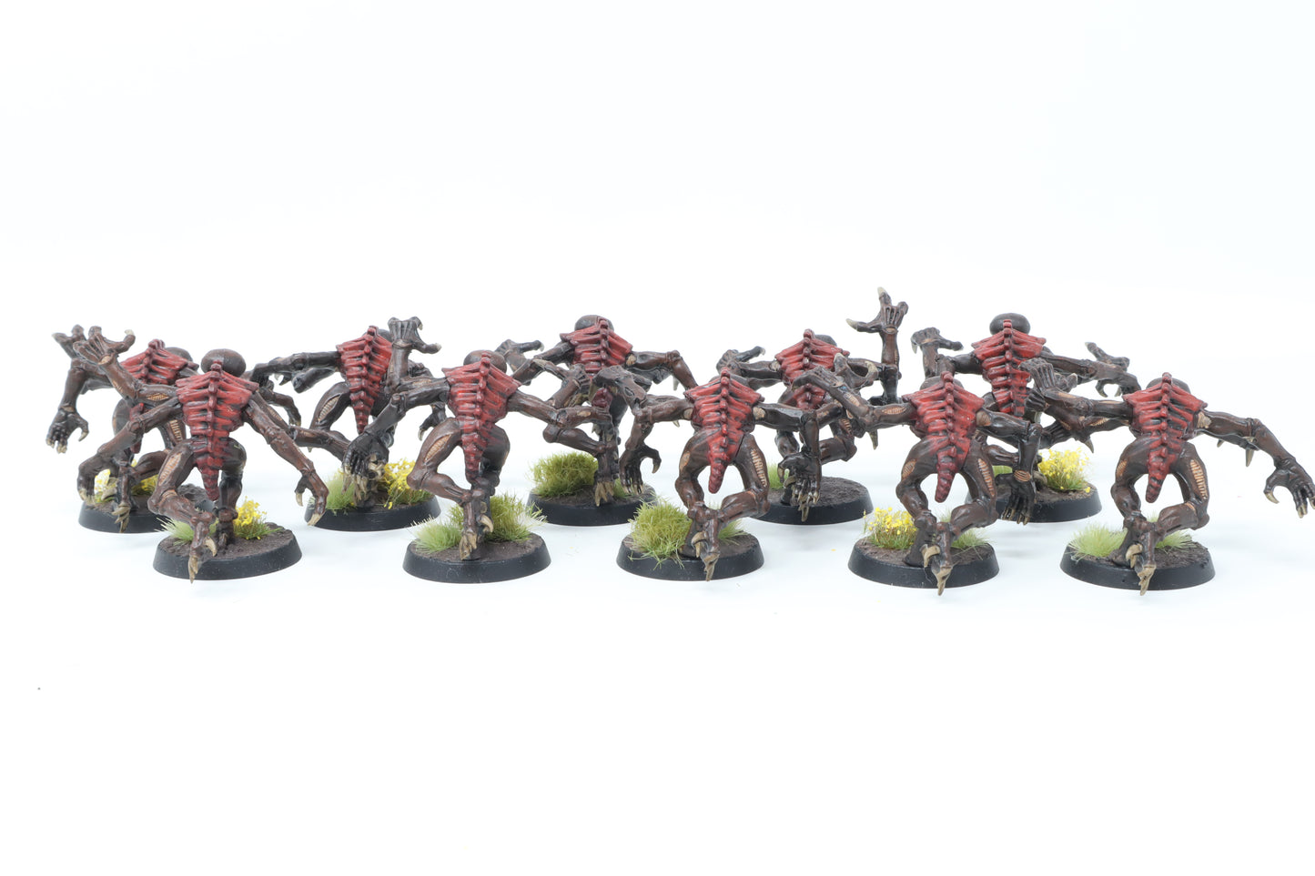 Genestealers (Well Painted/Old Models)