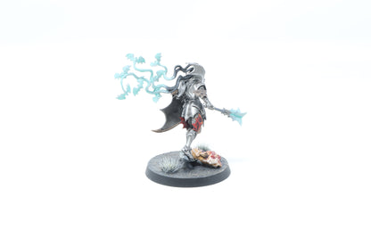 Vampire Lord (Well Painted)