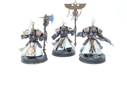 Allarus Custodians (Well Painted)