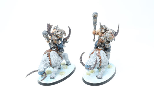 Mournfang Pack (Well Painted)
