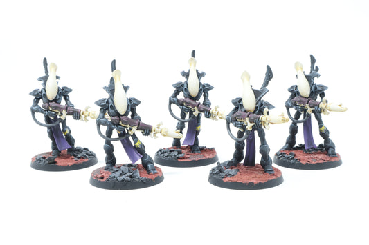 Wraithguard (Well Painted)