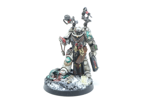 Apothecary (Conversion/Well Painted)