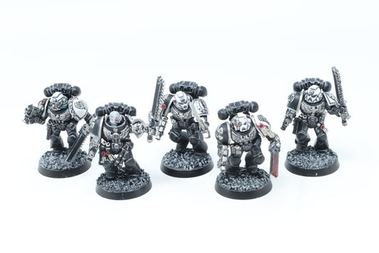 Assault Squad (Well Painted)