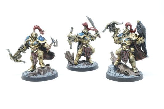 The Farstriders (Well Painted)