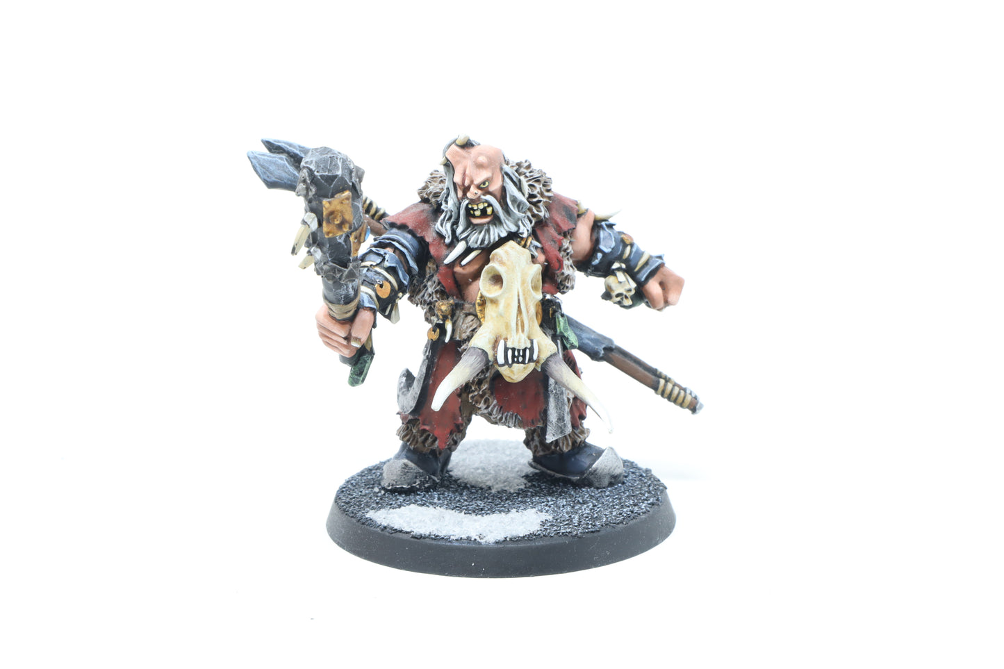 Icebrow Hunter (Well Painted)