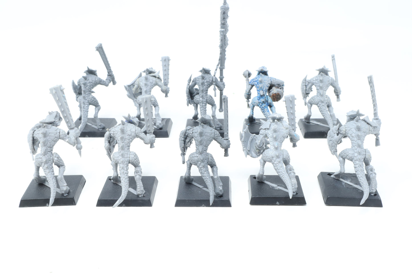 Saurus Warriors (Old Models)