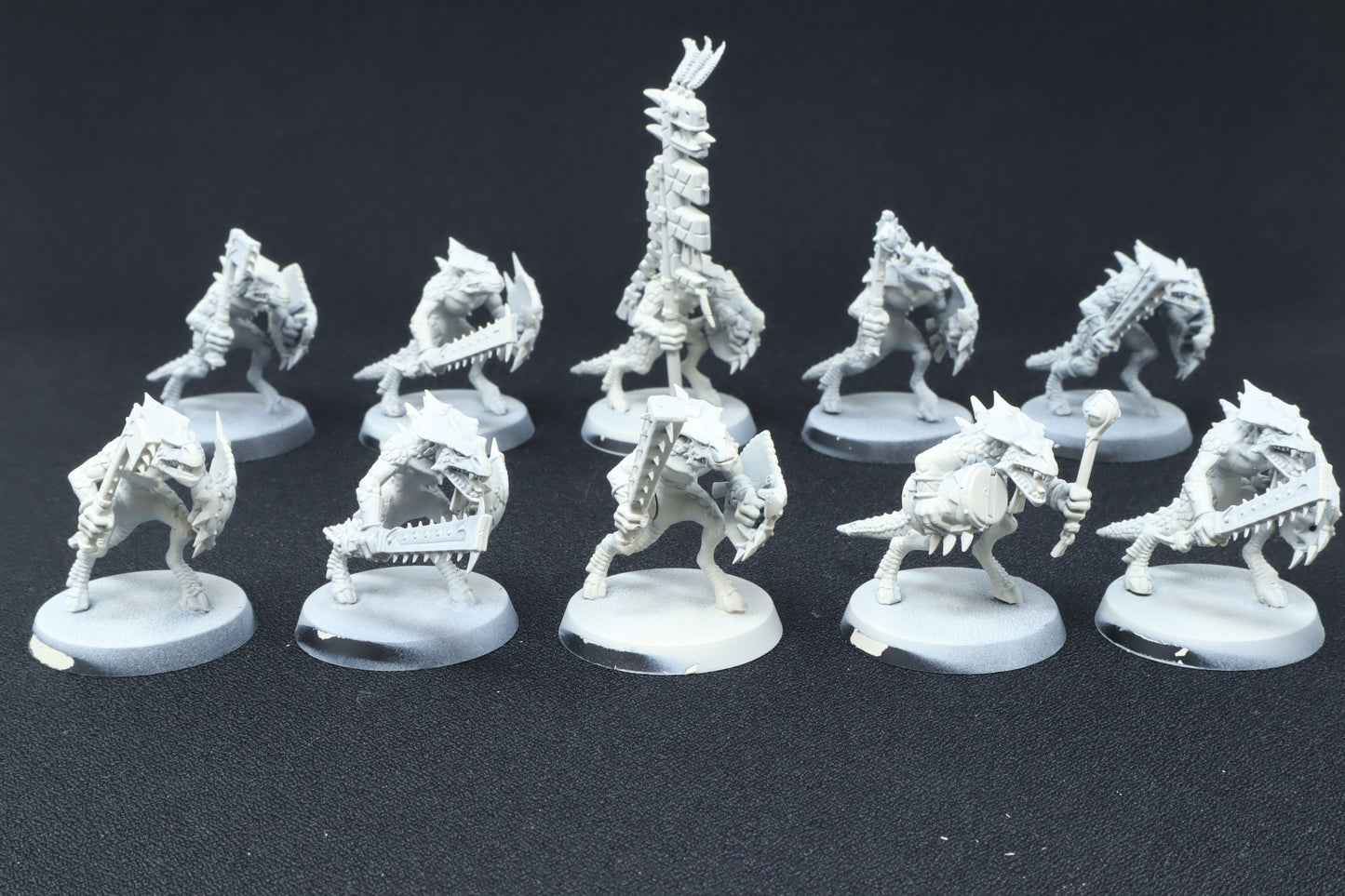 Saurus Warriors (Old Models)