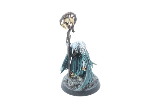 Necromancer (Well Painted)
