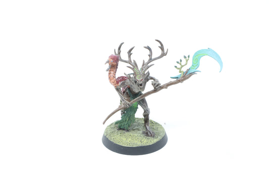 Branchwych (Well Painted)