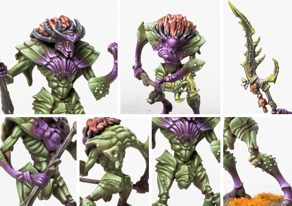 Weaver Courts: Morrowmen