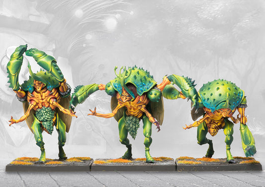 Weaver Courts: Gallowglass Warriors/Warden