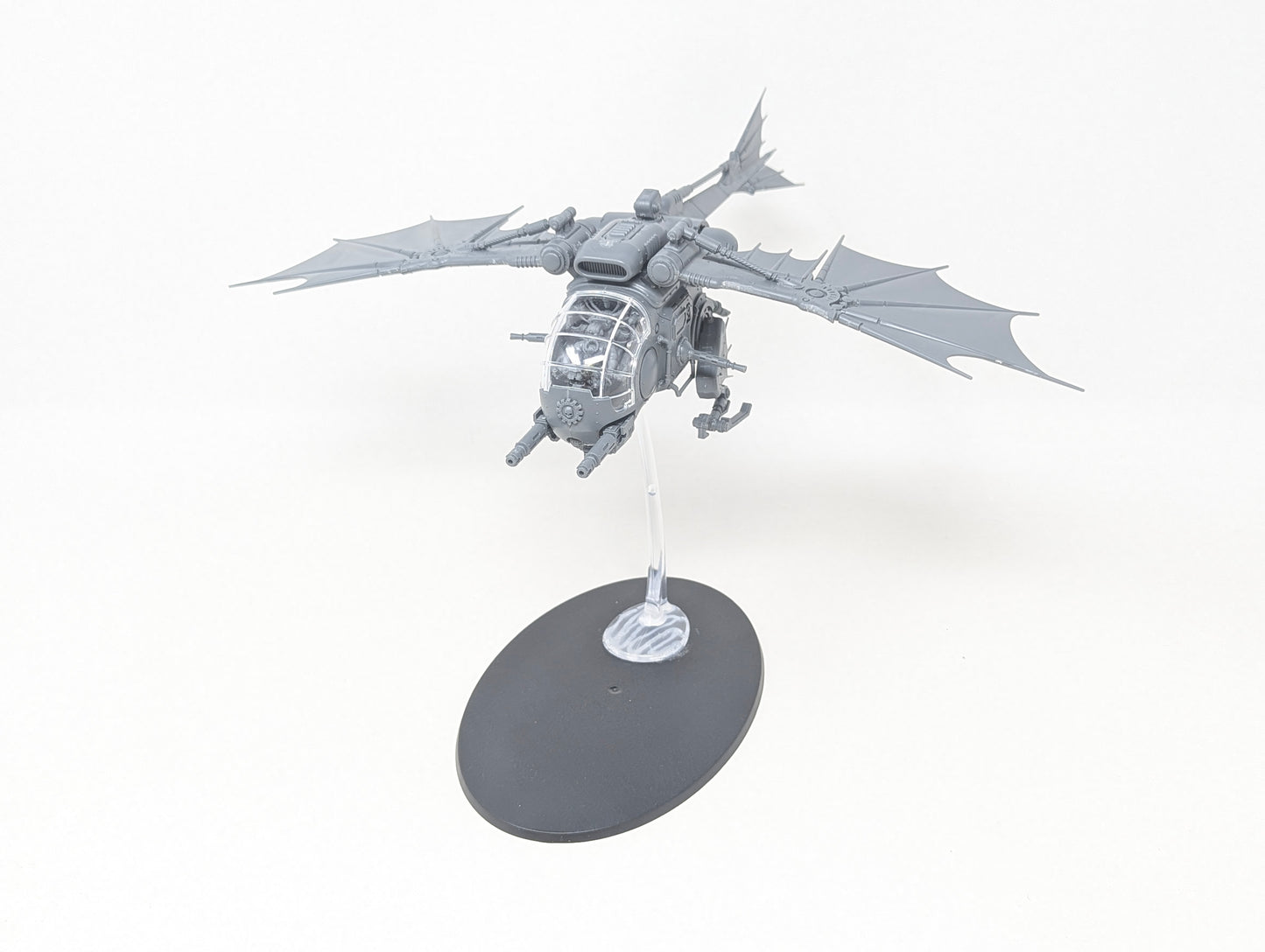 Archaeopter Stratoraptor