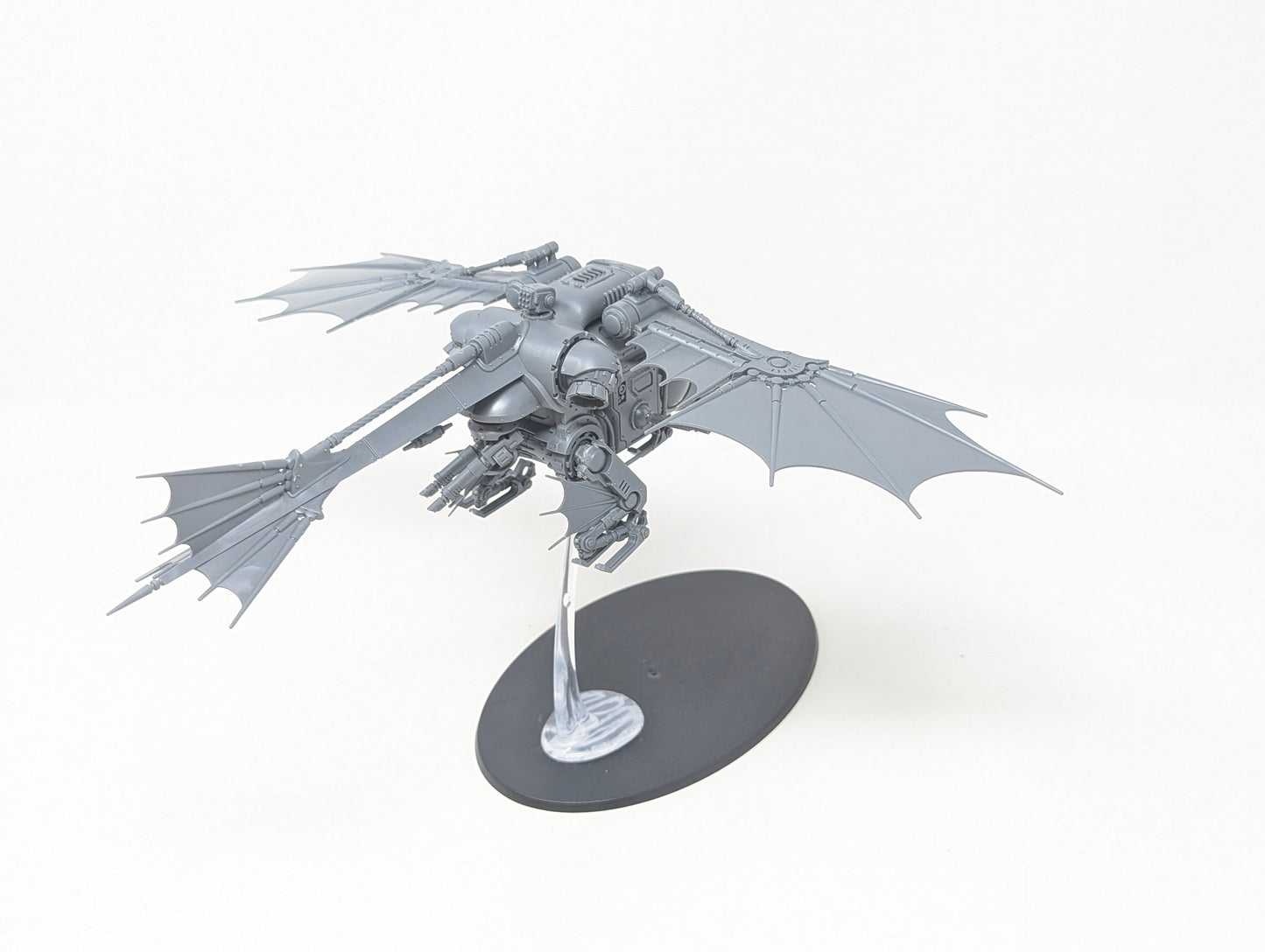 Archaeopter Stratoraptor