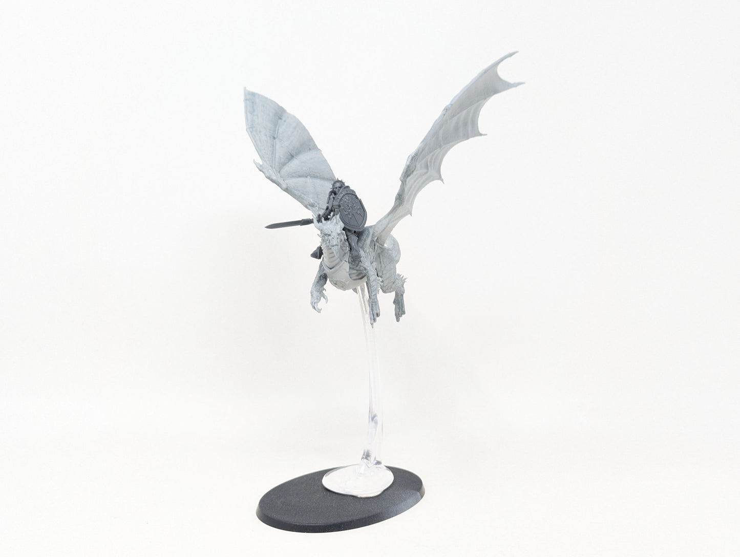 Single Stormdrake Guard