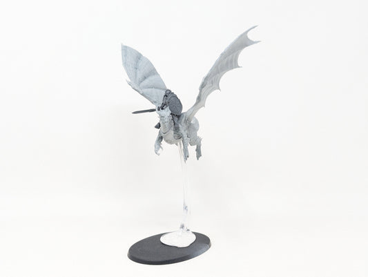 Single Stormdrake Guard