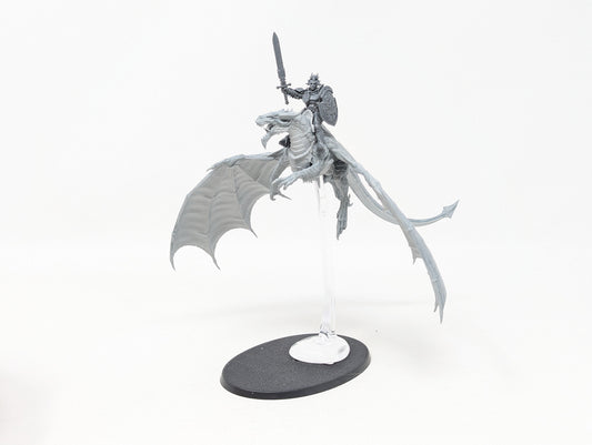 Single Stormdrake Guard