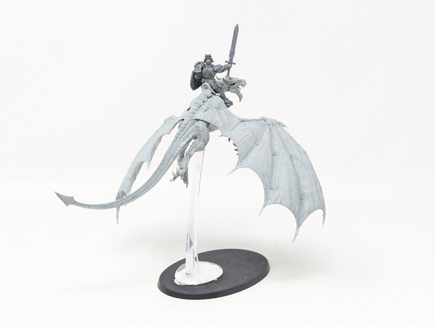 Single Stormdrake Guard