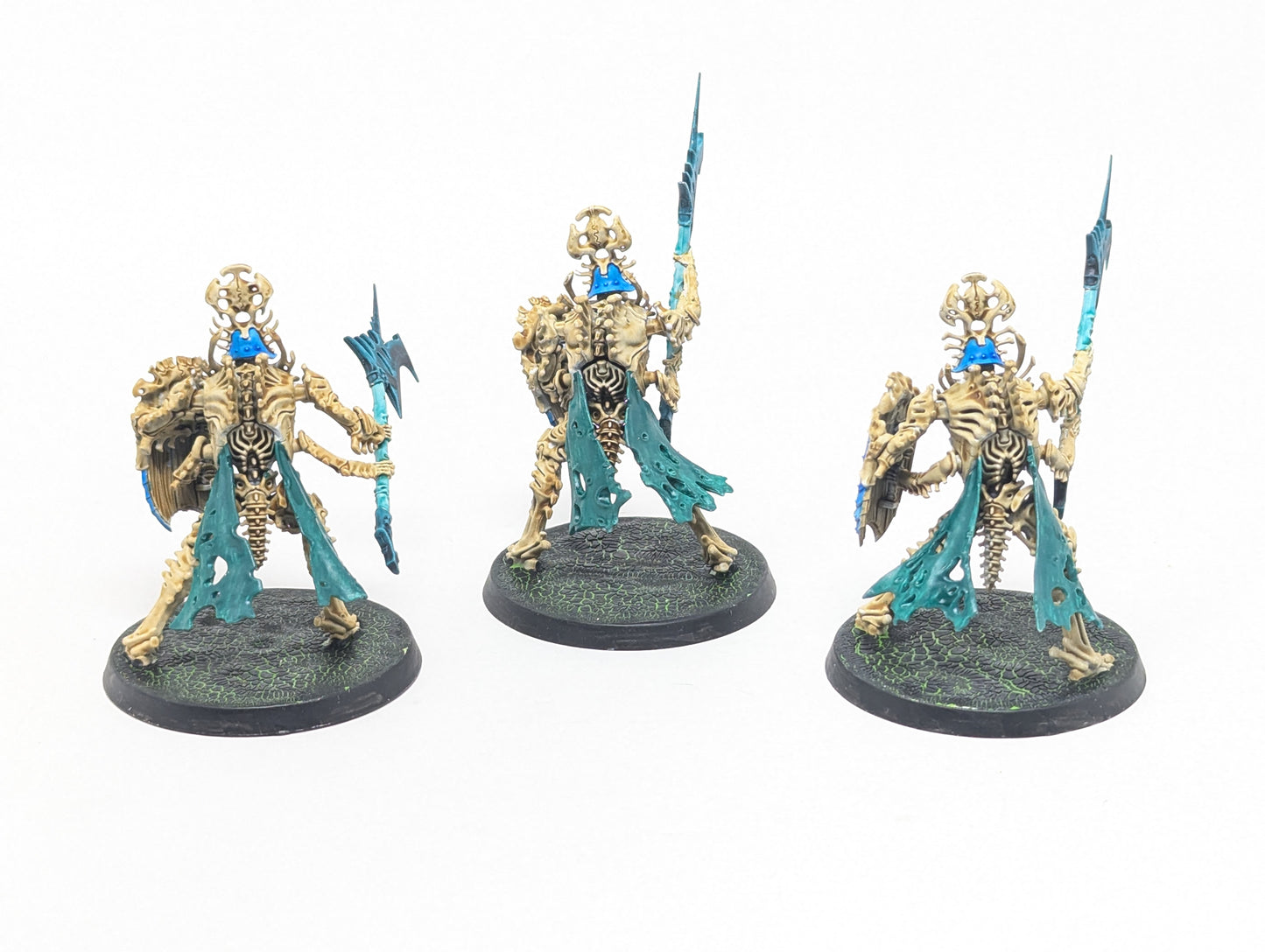 Immortis Guard (Tabletop)